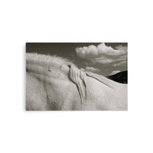 Load image into Gallery viewer, MANE ATTRACTION - Unframed Poster