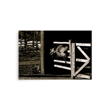 Load image into Gallery viewer, LATE IN THE DAY - Unframed Poster