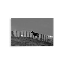 Load image into Gallery viewer, GUARDIAN - Unframed Poster