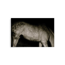 Load image into Gallery viewer, GALAXY - Unframed Poster