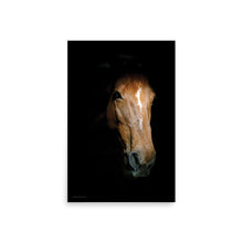 Load image into Gallery viewer, EMERGING - Unframed Poster