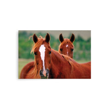 Load image into Gallery viewer, DUET - Unframed Poster