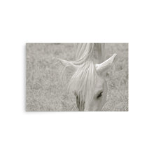 Load image into Gallery viewer, FAIR ONE - Unframed Poster