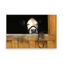 Load image into Gallery viewer, FACE OF CURIOSITY - Unframed Poster