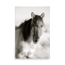 Load image into Gallery viewer, CHIEF - Unframed Poster