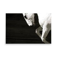 Load image into Gallery viewer, WARRIOR - Unframed Poster