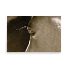 Load image into Gallery viewer, VELVET CHEEKS - Unframed Poster