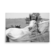 Load image into Gallery viewer, UPDRAFT - Unframed Poster