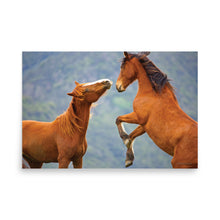 Load image into Gallery viewer, TITANS - Unframed Poster