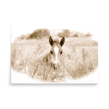 Load image into Gallery viewer, SPRING NEWCOMER - Unframed Poster