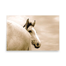 Load image into Gallery viewer, SAFE DISTANCE - Unframed Poster