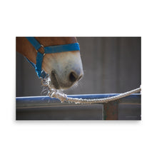 Load image into Gallery viewer, PATIENCE - Unframed Poster