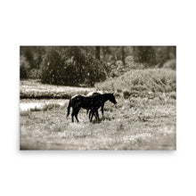 Load image into Gallery viewer, MORNING OF SUN AND RAIN - Unframed Poster