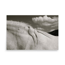 Load image into Gallery viewer, MANE ATTRACTION - Unframed Poster