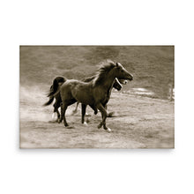 Load image into Gallery viewer, JUST FOR PLAY - Unframed Poster