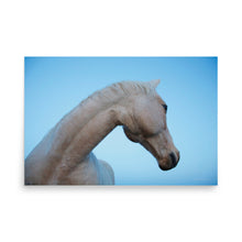 Load image into Gallery viewer, IN THE BLUE - Unframed Poster