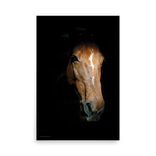 Load image into Gallery viewer, EMERGING - Unframed Poster