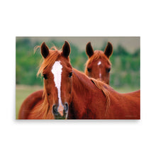 Load image into Gallery viewer, DUET - Unframed Poster