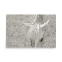 Load image into Gallery viewer, FAIR ONE - Unframed Poster