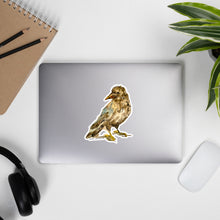 Load image into Gallery viewer, THE CROW - Crow Stickers