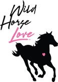 Wild Horse Love