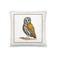 Load image into Gallery viewer, OWL - Owl Pillow
