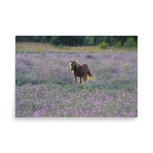 Load image into Gallery viewer, IN PURPLE FIELDS - Unframed Poster
