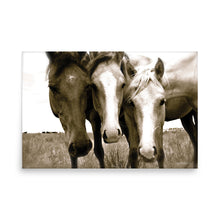 Load image into Gallery viewer, HOLY TRIO - Unframed Poster
