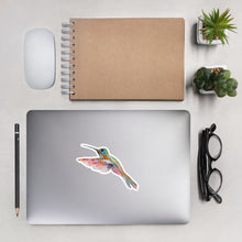 Load image into Gallery viewer, HUMMINGBIRD - Hummingbird Stickers
